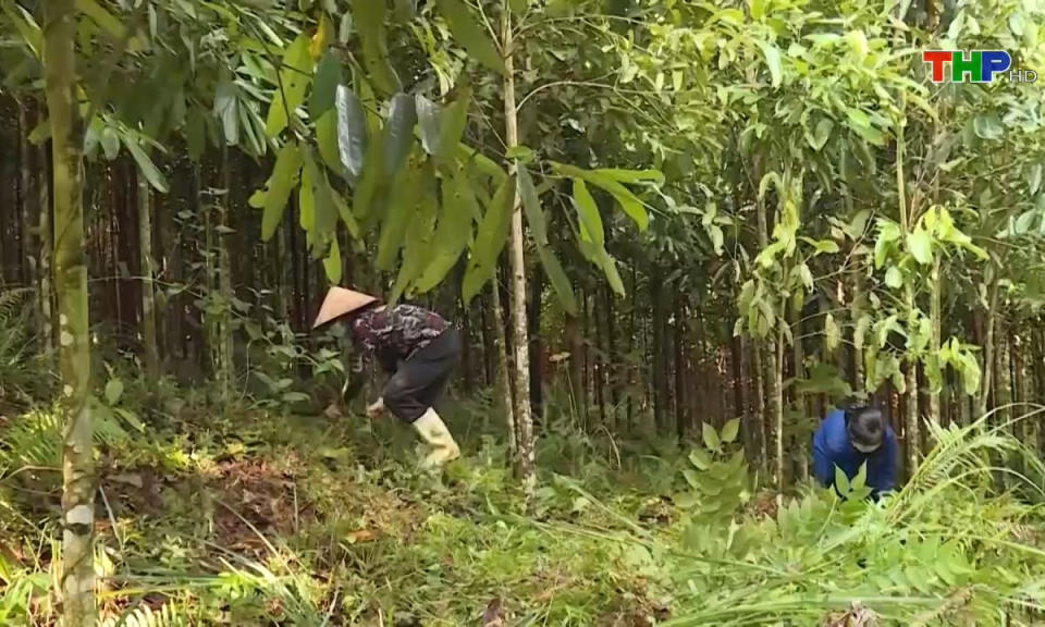 Bản tin Hải Phòng kết nối (27/06/2025)