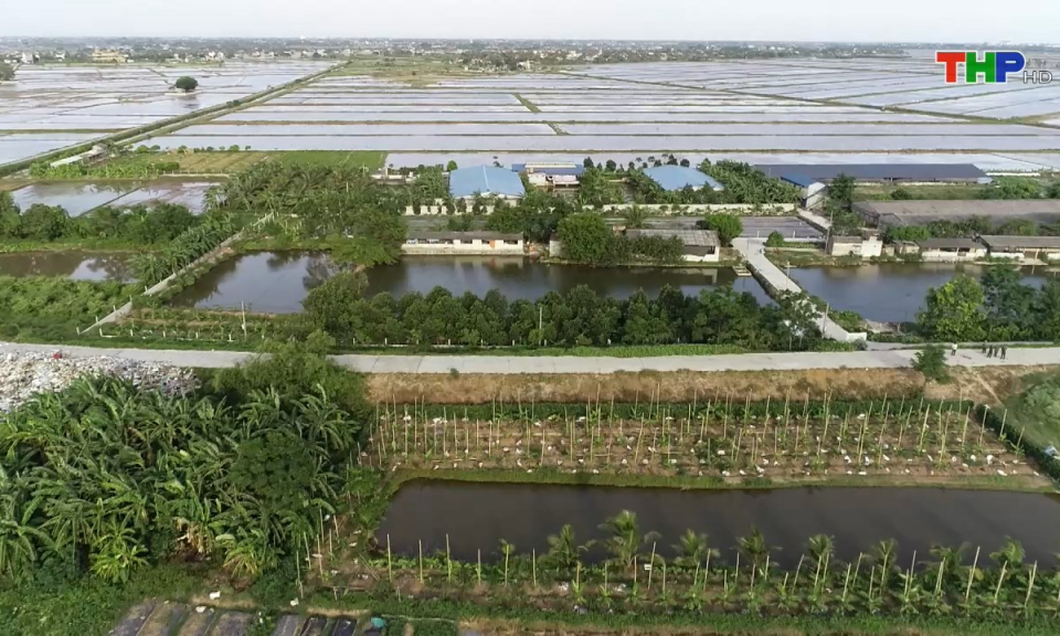 Nông thôn mới Hải Phòng: Chăn nuôi xanh - Giải pháp phát triển bền vững
