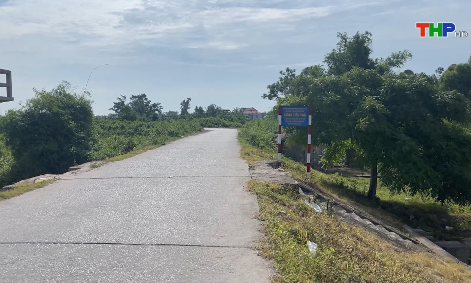 Bảo đảm an toàn đê điều trước mùa mưa bão