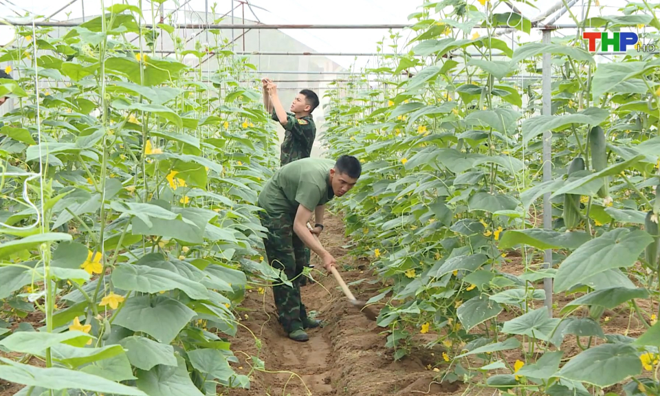 Đẩy mạnh công tác hậu cần trong quân đội