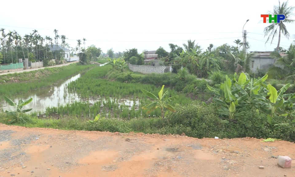 Hộp thư truyền hình: Xã Vĩnh Bảo cần khắc phục vi phạm trong quản lý, sử dụng đất công ích