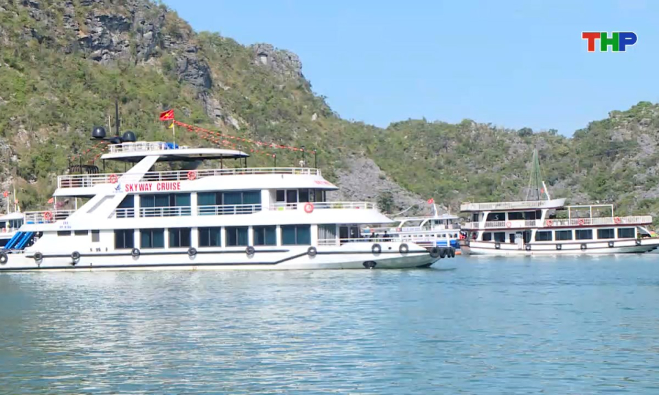 Bản tin tiếng Trung (08/07/2025)