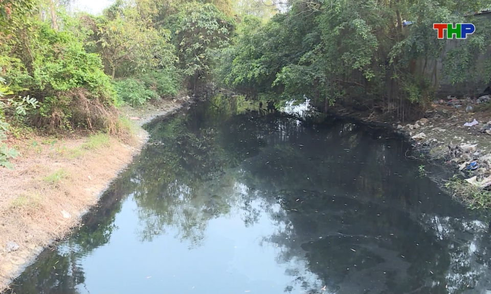 Quyết liệt ngăn chặn, giải quyết tình trạng ô nhiễm môi trường