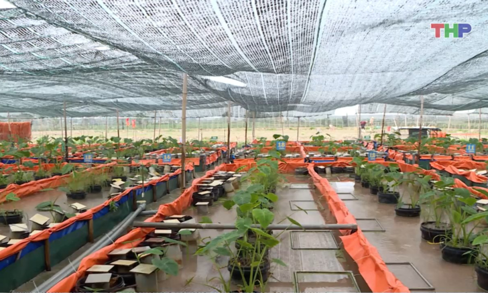 Bản tin thời sự trưa (17/07/2025)