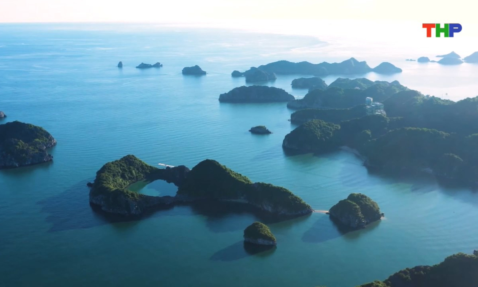 Vì cộng đồng: Chung tay vì Hải Phòng xanh