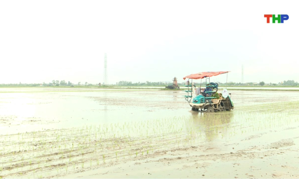 Bản tin thời sự sáng (20/07/2025)