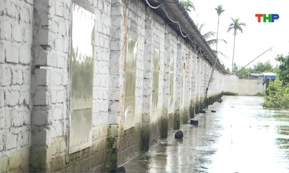 Bản tin thời sự sáng (25/07/2025)