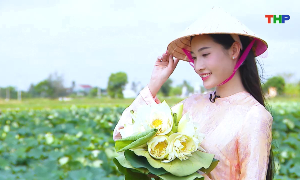 Điểm hẹn du lịch: Sen hạ 2025