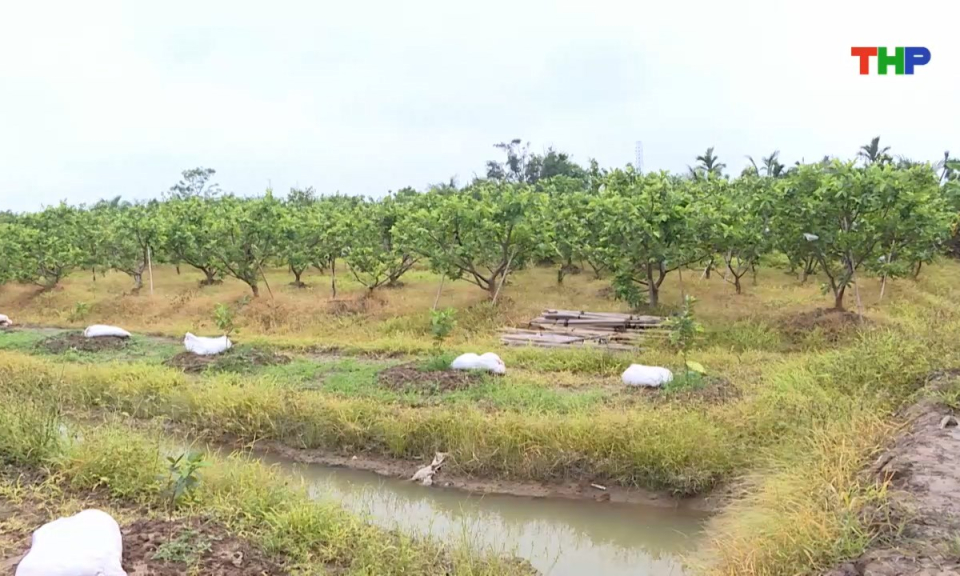 Bản tin thời sự sáng (27/07/2025)