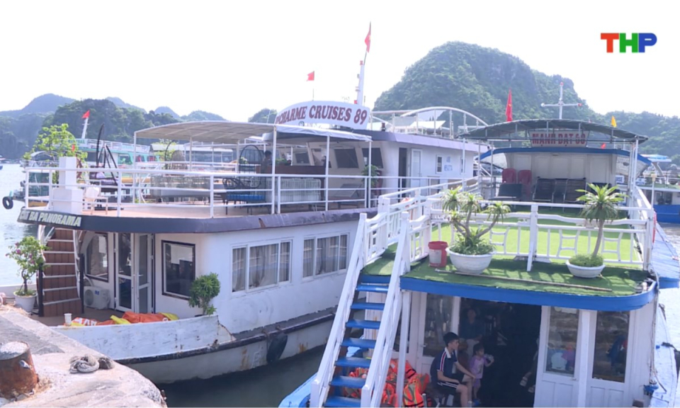 Bản tin giao thông 24h (29/07/2025)