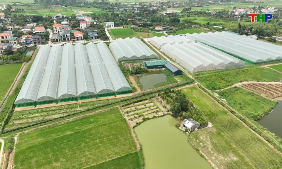 Bản tin thời sự sáng (01/08/2025)