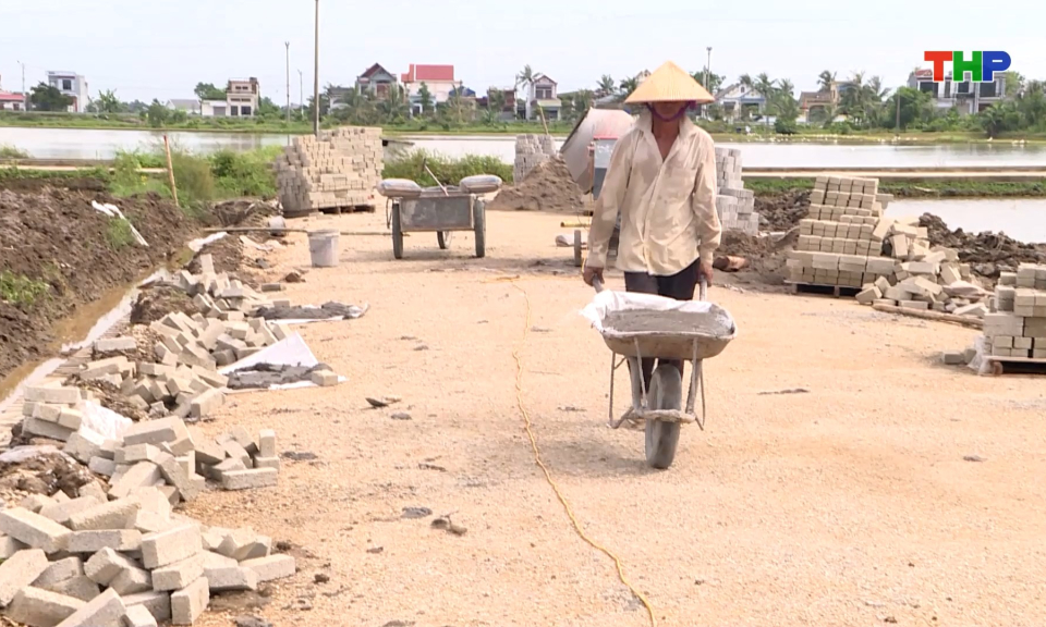 Tập trung công tác xây dựng nông thôn mới kiểu mẫu