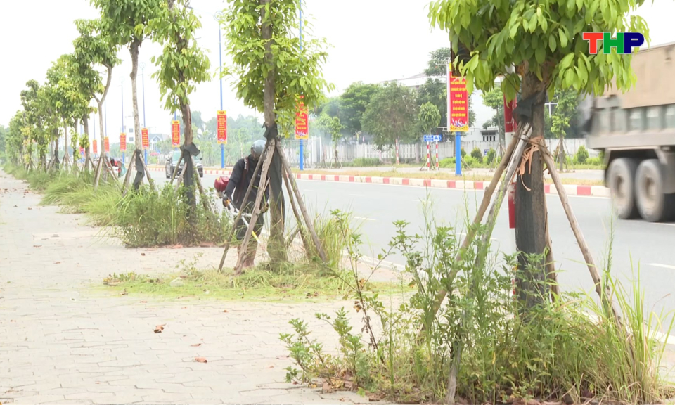 Khắc phục tình trạng mất mỹ quan đô thị trên đường Vũ Công Đán 