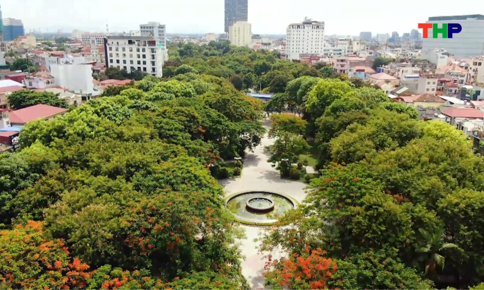 55 năm t&ocirc; m&agrave;u xanh th&agrave;nh phố