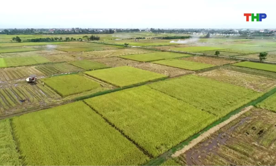 Bản tin thời sự trưa (09/08/2025)