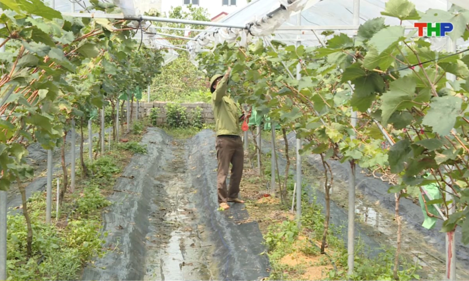 Bản tin thời sự sáng (10/08/2025)