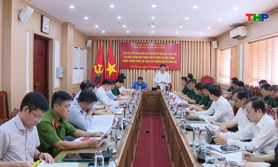 Giám sát công tác phòng chống buôn lậu và gian lận thương mại 