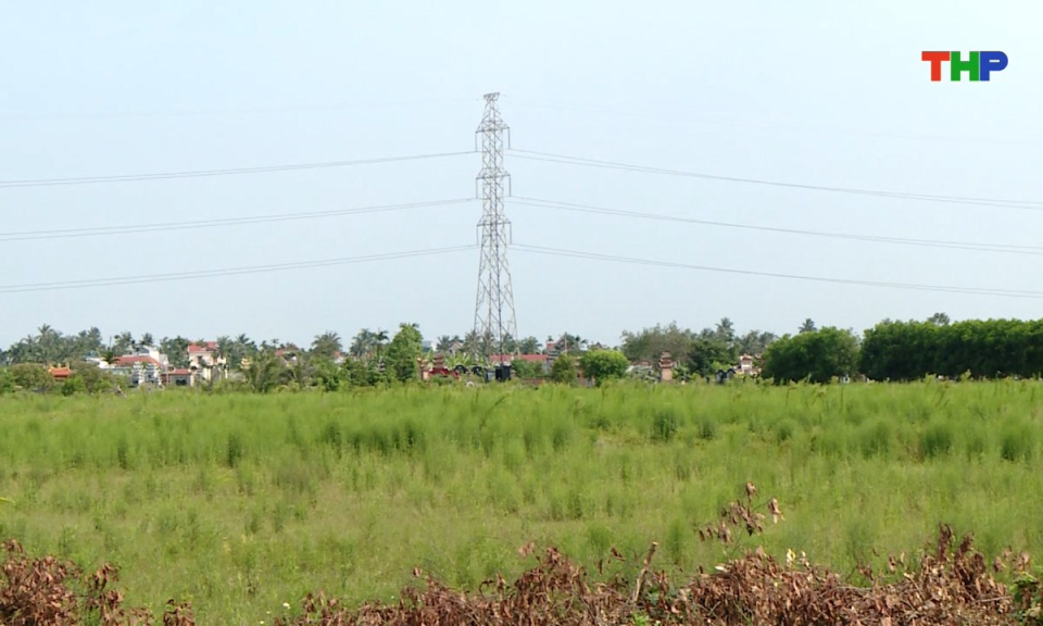 Bản tin tiếng Trung - 海防新闻 (13/08/2025)