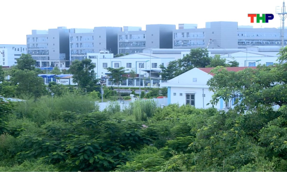 Bản tin thời sự tối (13/08/2025)