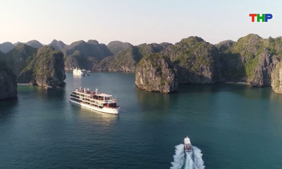 Bản tin tiếng Trung - 海防新闻 (15/08/2025)