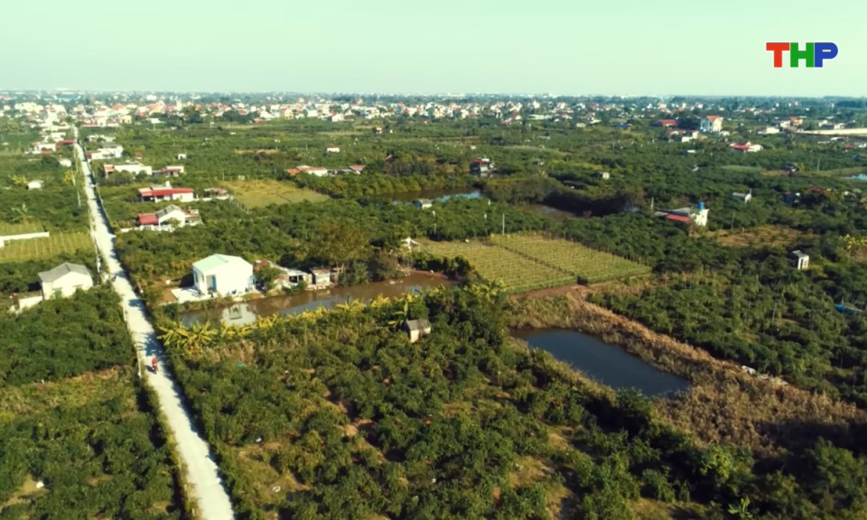 Nông thôn mới Hải Phòng: Xúc tiến thương mại, xây dựng thương hiệu nông sản