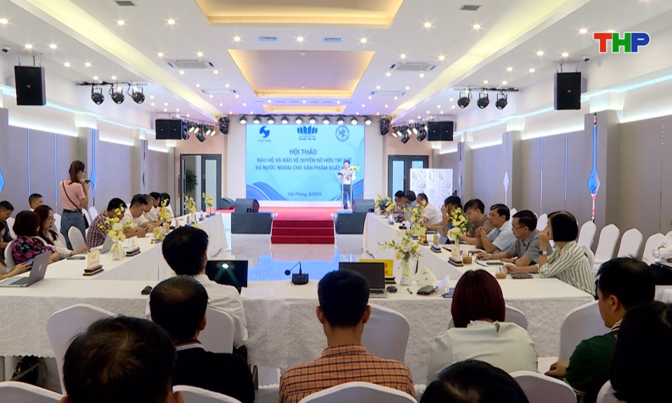 Bảo hộ và bảo vệ quyền sở hữu trí tuệ ra nước ngoài cho sản phẩm xuất khẩu