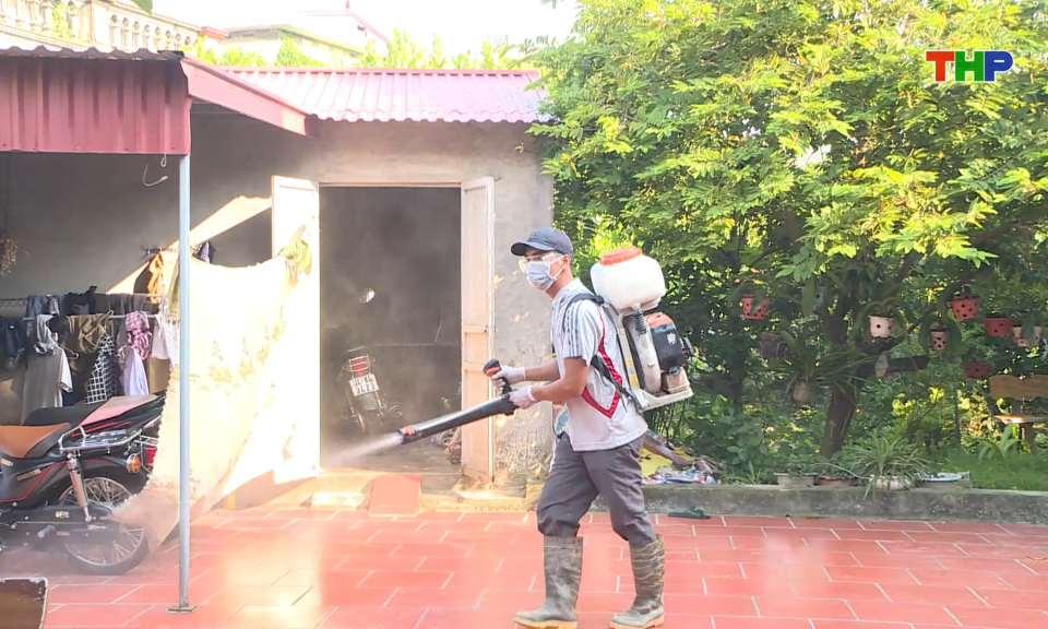 Chủ động phòng chống sốt xuất huyết