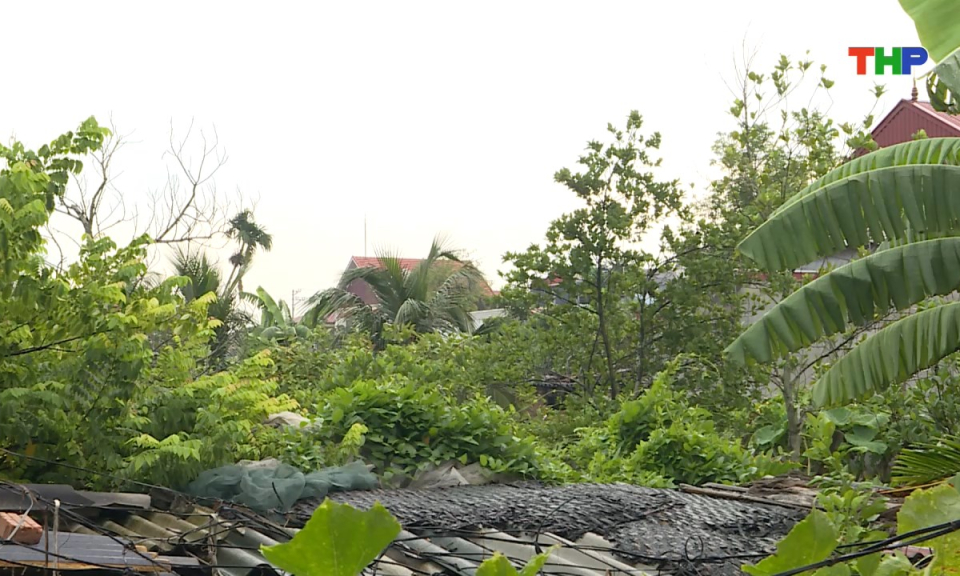 Hộp thư truyền hình: Kiến nghị của người dân về việc bị thiếu diện tích đất nông nghiệp