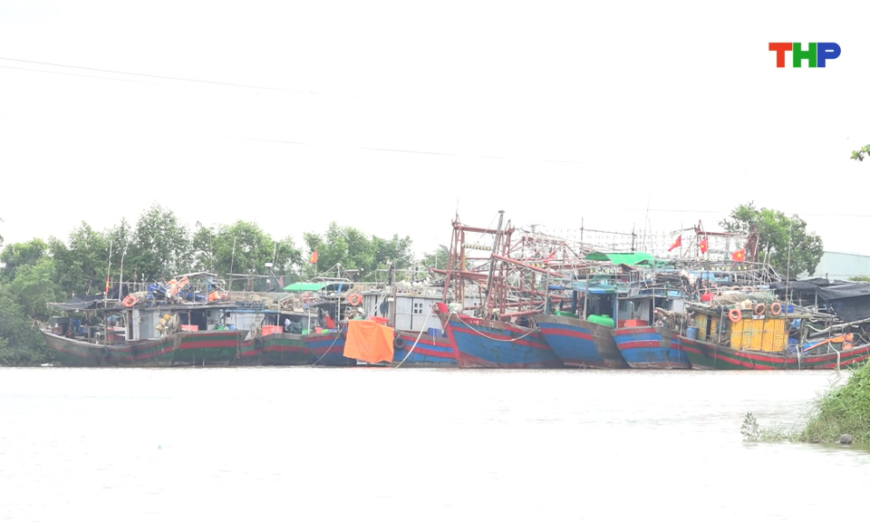 Cao điểm ngăn chặn khai thác thuỷ sản bất hợp pháp