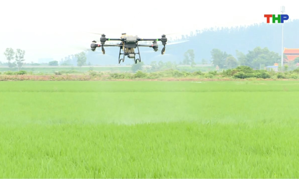 Bản tin thời sự trưa (23/08/2025)