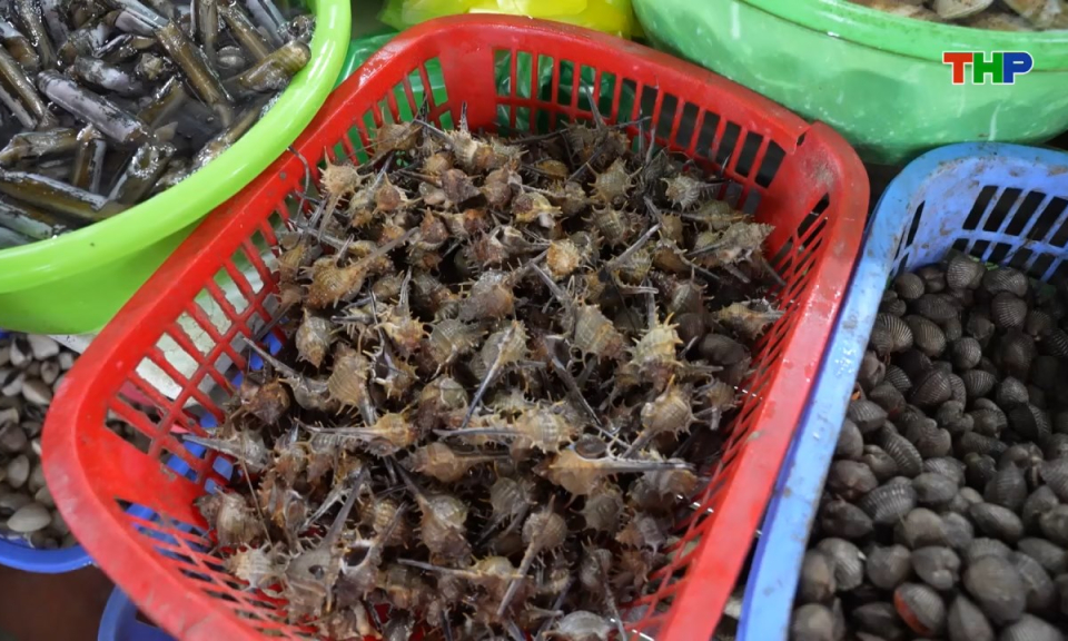 Điểm hẹn du lịch: Những đặc sắc của hải sản Cát Bà