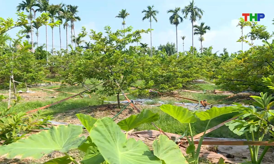 10 ph&uacute;t v&agrave;ng (24/08/2025)