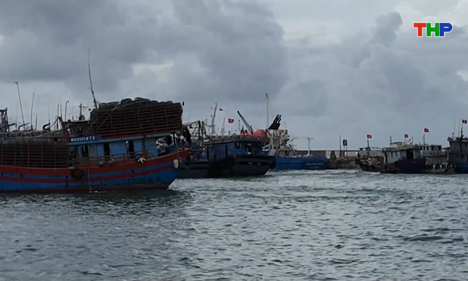 Đặc khu Bạch Long Vĩ chủ động ph&ograve;ng, chống b&atilde;o số 5