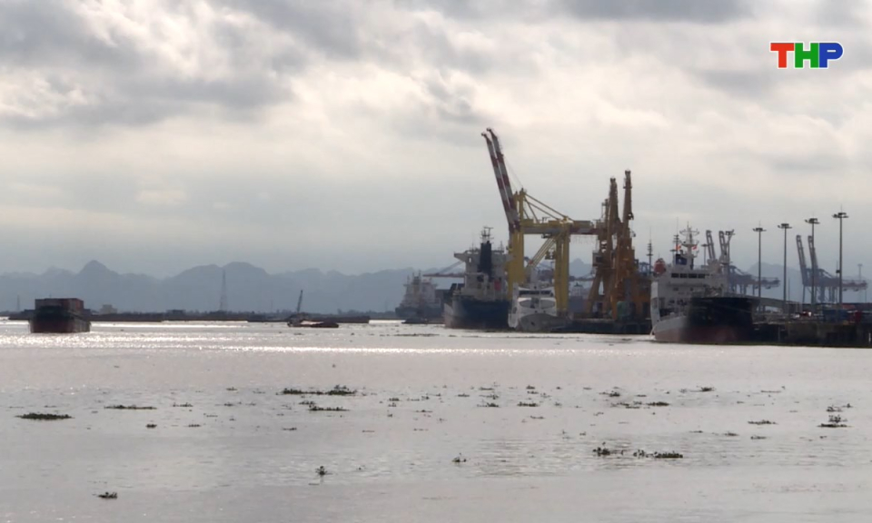 Bản tin tiếng Anh - Hai Phong News (25/08/2025)