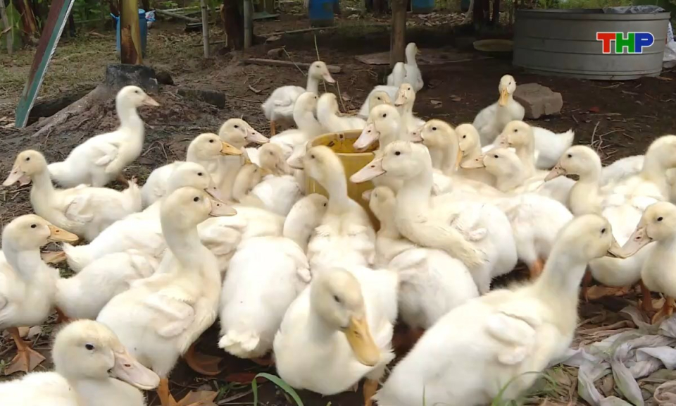 10 ph&uacute;t v&agrave;ng (26/08/2025)