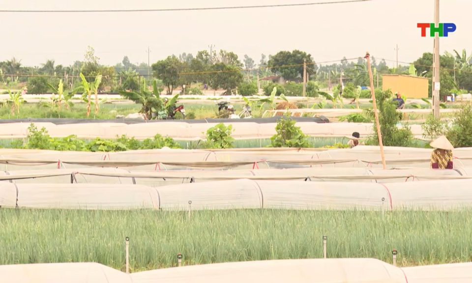 Bản tin thời sự s&aacute;ng (27/08/2025)