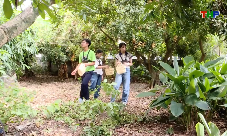Lăng kính tuổi hoa: Khi Genz "onlife" (Phần 5)