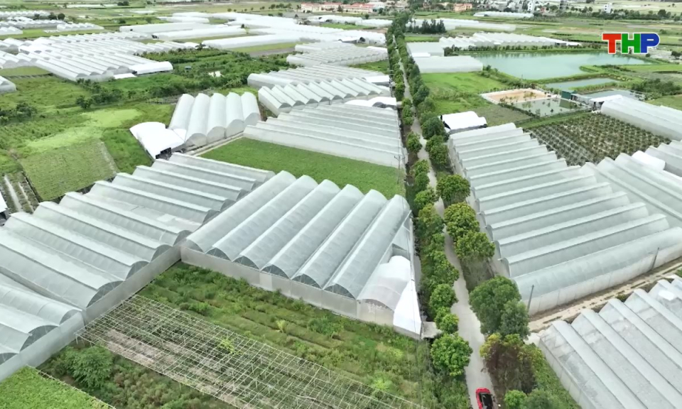 Ph&oacute;ng sự t&agrave;i liệu: Ph&aacute;t triển n&ocirc;ng nghiệp xanh, bền vững