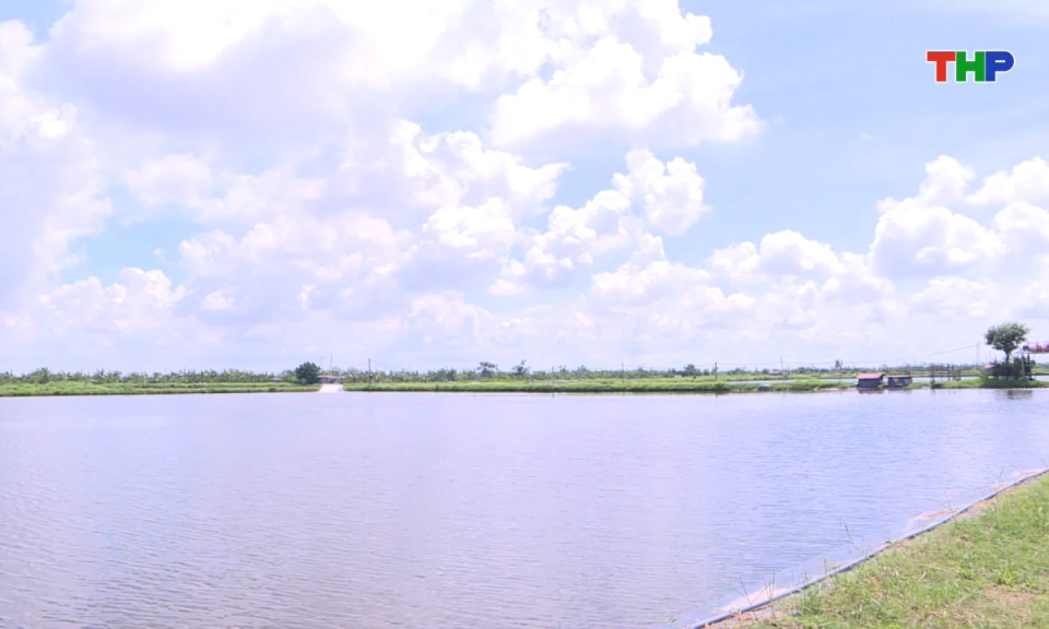 Bản tin tiếng Trung - 海防新闻 (27/08/2025)