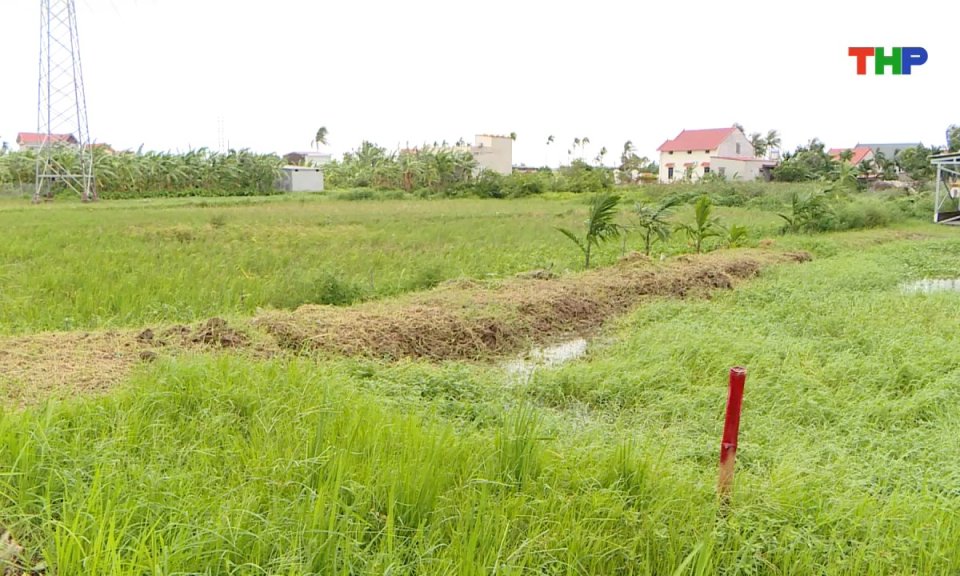 Ph&aacute;p luật v&agrave; cuộc sống: Bảo đảm quy định về bồi thường, hỗ trợ, t&aacute;i định cư khi thực hiện dự &aacute;n đường sắt L&agrave;o Cai - H&agrave; Nội - Hải Ph&ograve;ng