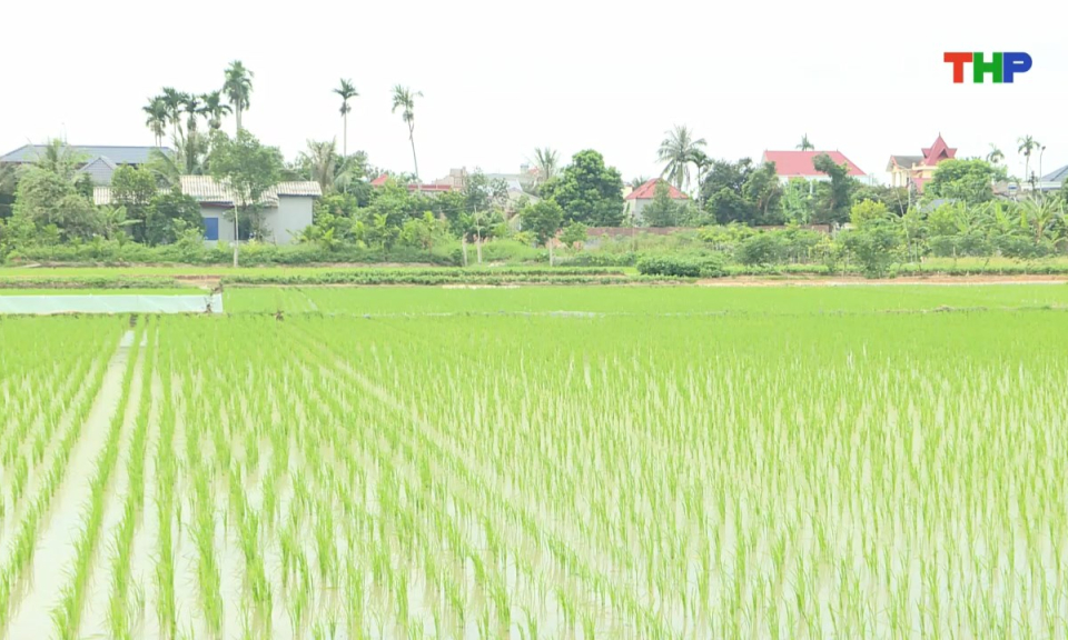 10 ph&uacute;t v&agrave;ng (30/08/2025)