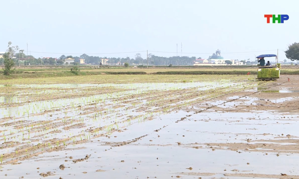 Bản tin thời sự sáng (02/09/2025)
