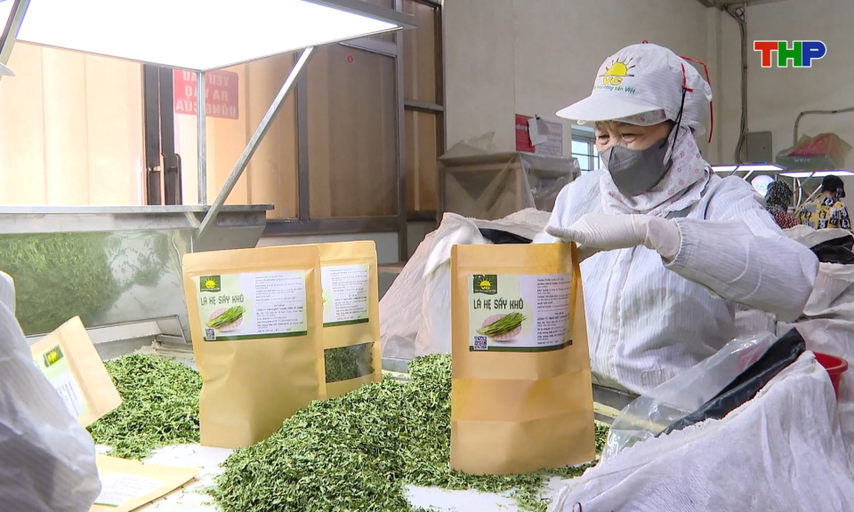 N&acirc;ng cao chất lượng v&agrave; gi&aacute; trị thương hiệu cho sản phẩm OCOP