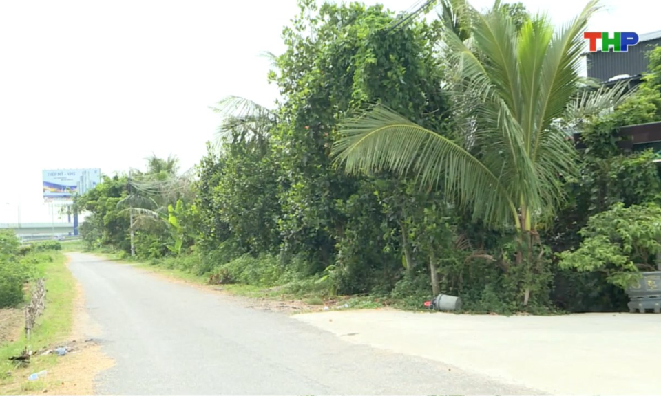 Bản tin thời sự s&aacute;ng (04/09/2025)