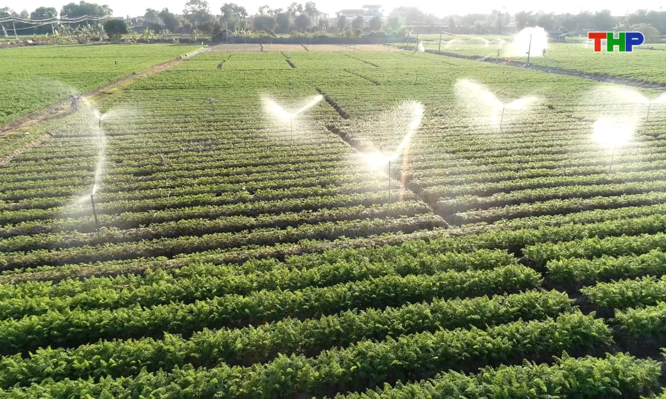 Hải Ph&ograve;ng th&uacute;c đẩy li&ecirc;n kết chuỗi gi&aacute; trị trong n&ocirc;ng nghiệp, thủy sản