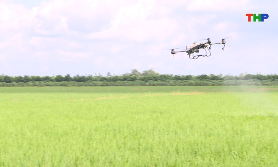 Tăng cường ứng dụng khoa học c&ocirc;ng nghệ trong n&ocirc;ng nghiệp