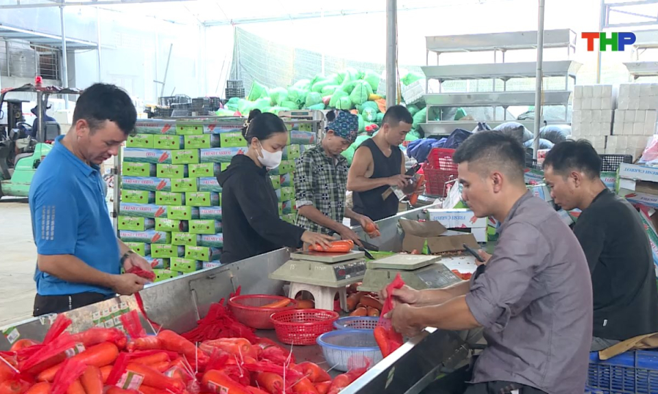 Tạp chí kinh tế: Đưa nông sản Hải Phòng ra thế giới: Tiềm năng cần được đánh thức