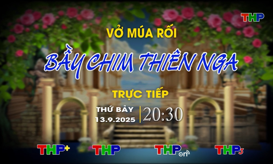 Rao sóng Sân khấu truyền hình (Số 66): Bầy chim thiên nga