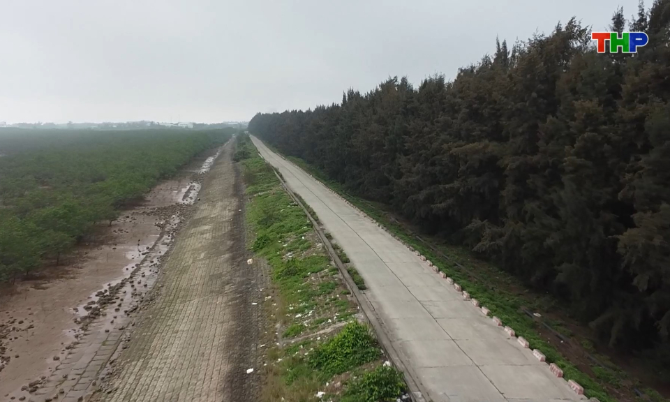 Tăng cường tu bổ, n&acirc;ng cấp hệ thống đ&ecirc; điều