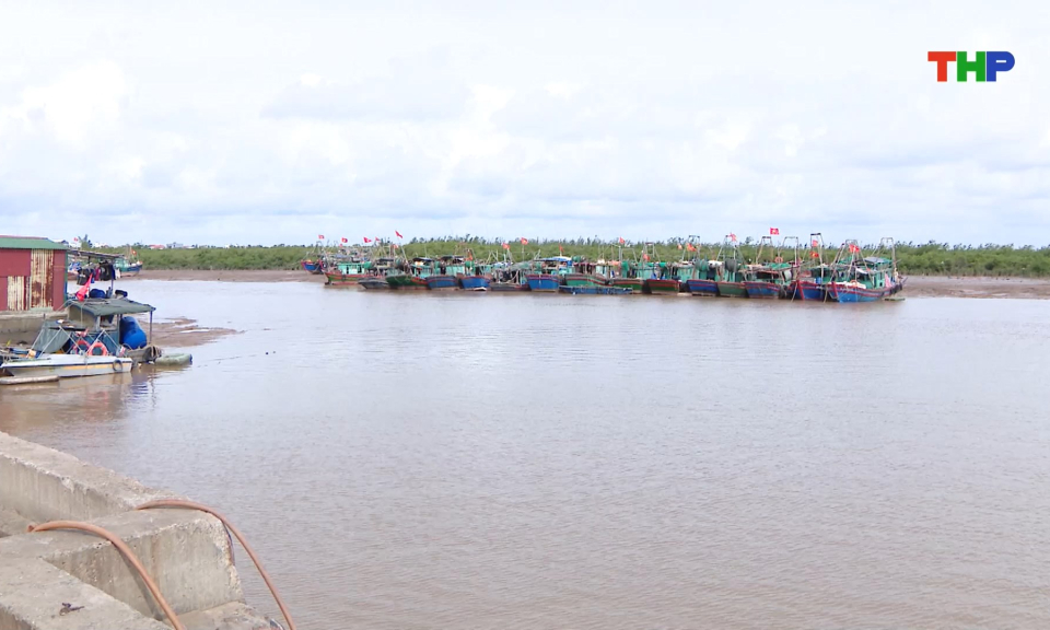 Quyết liệt ngăn chặn khai th&aacute;c thủy sản bất hợp ph&aacute;p những th&aacute;ng cuối năm